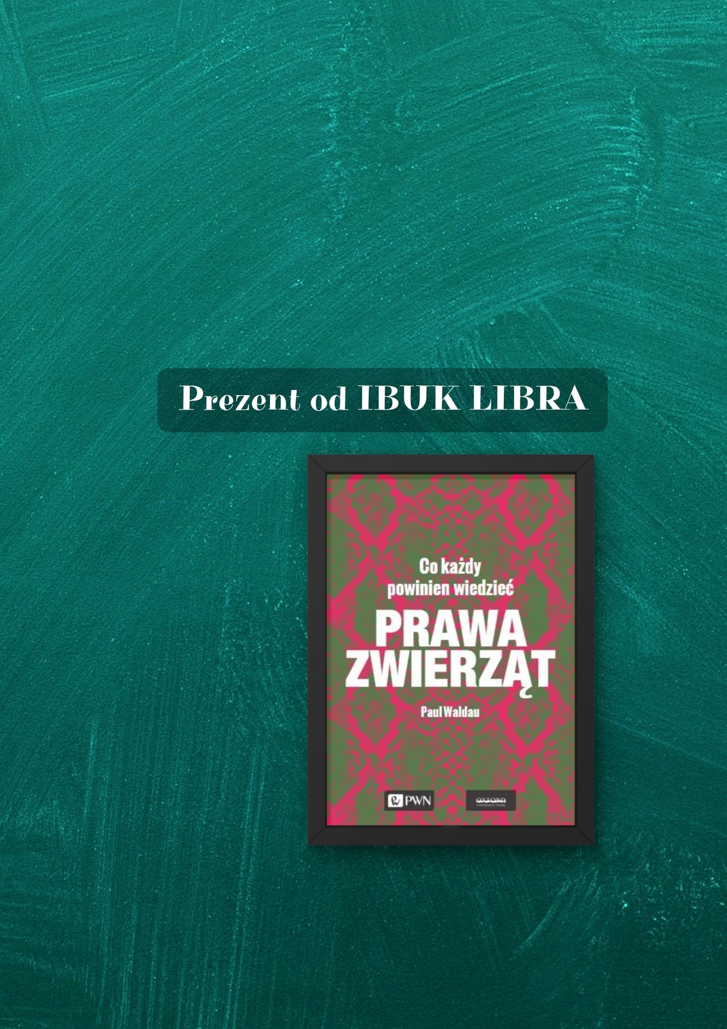 Prawa zwierząt. Co każdy powinien wiedzieć  