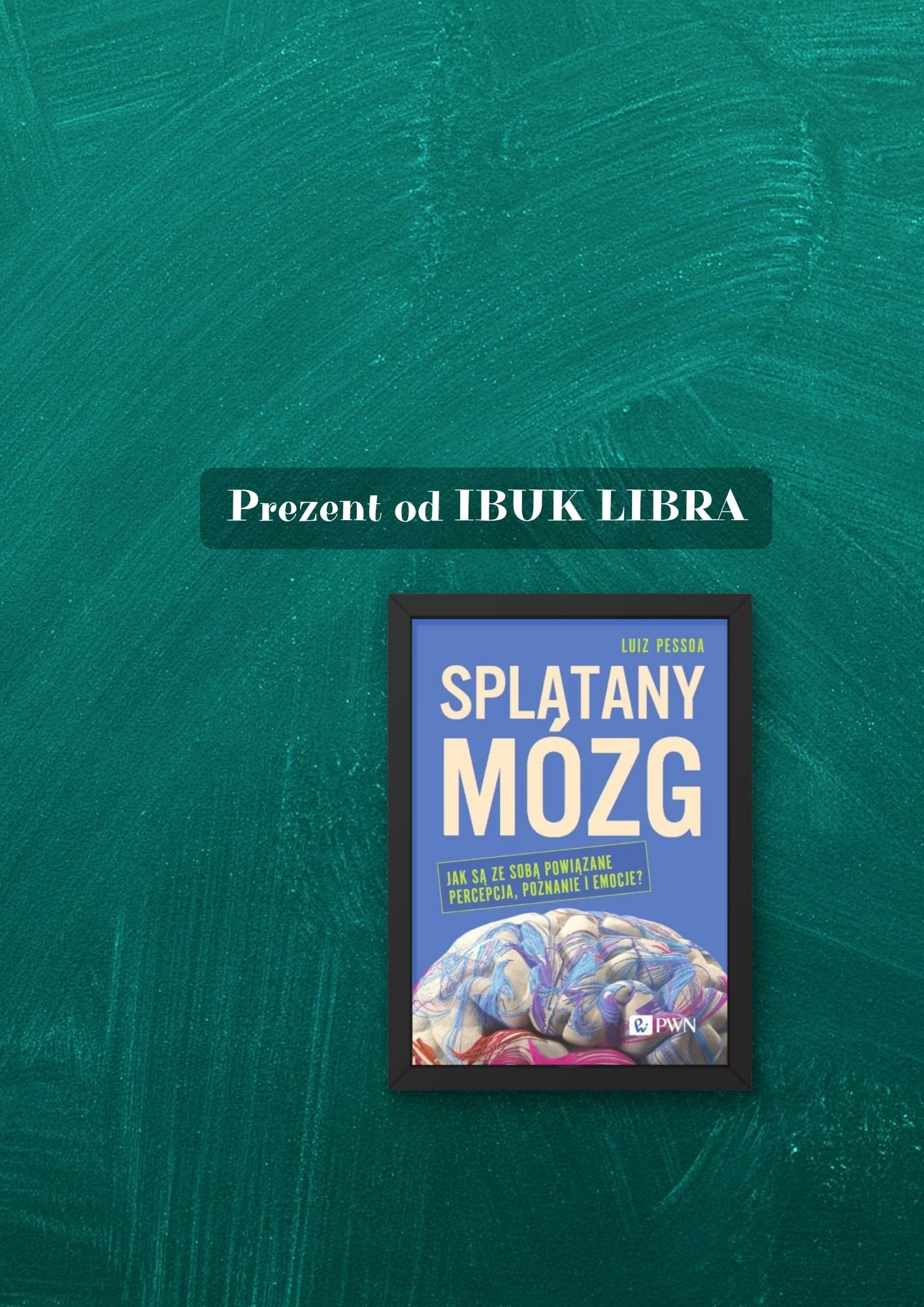 Splątany mózg